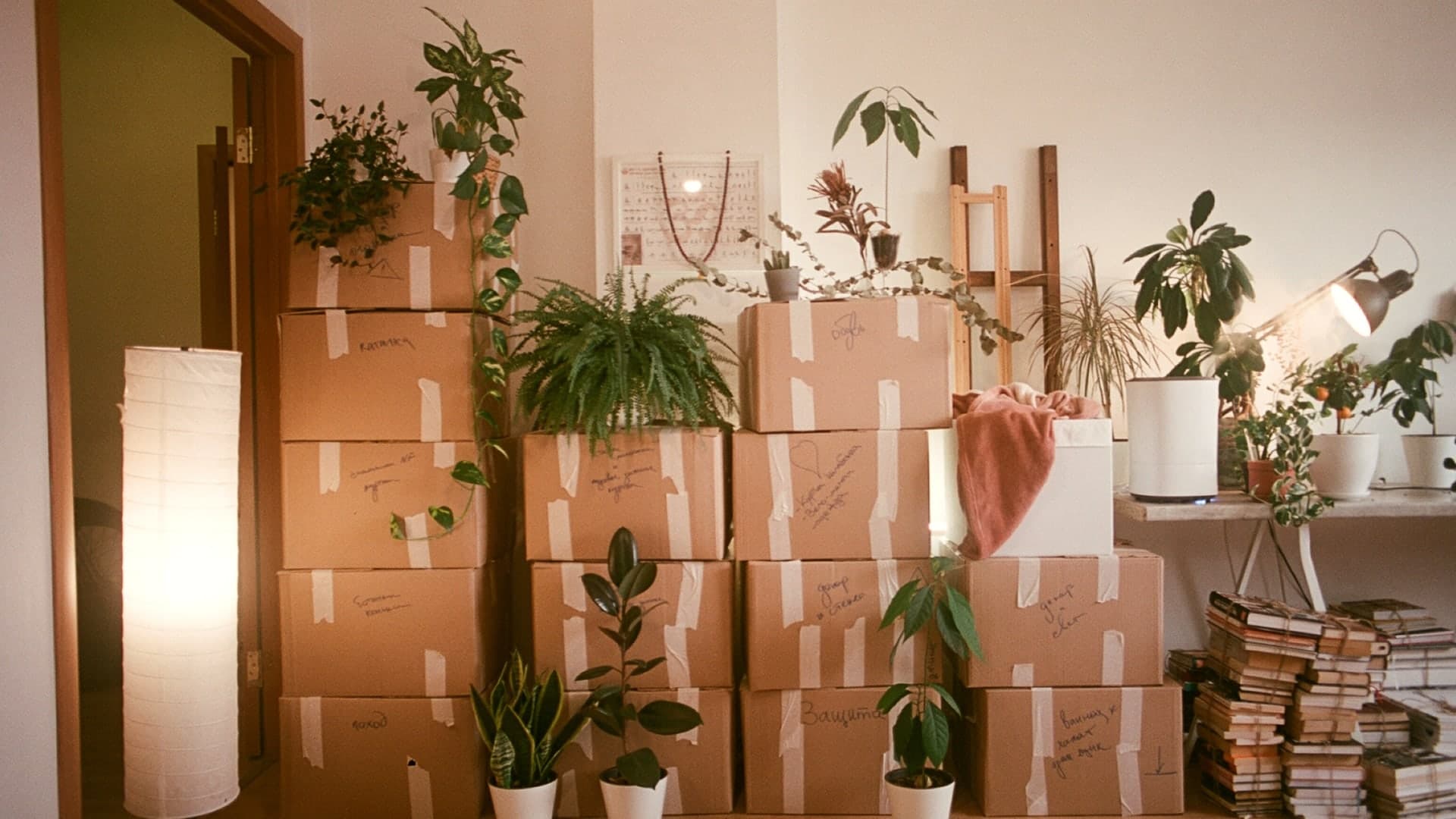 Video: moving boxes ready in a living room
